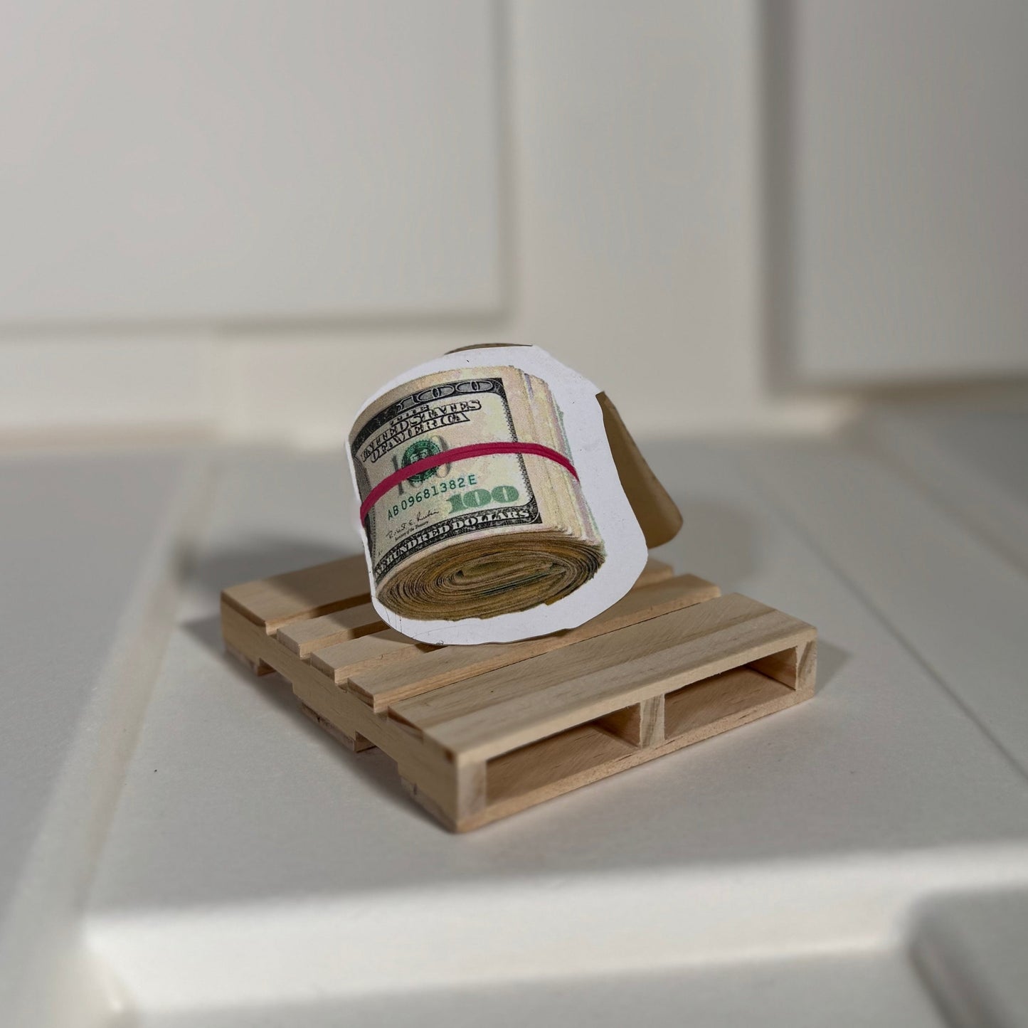Bankroll Magnetic Bookmark
