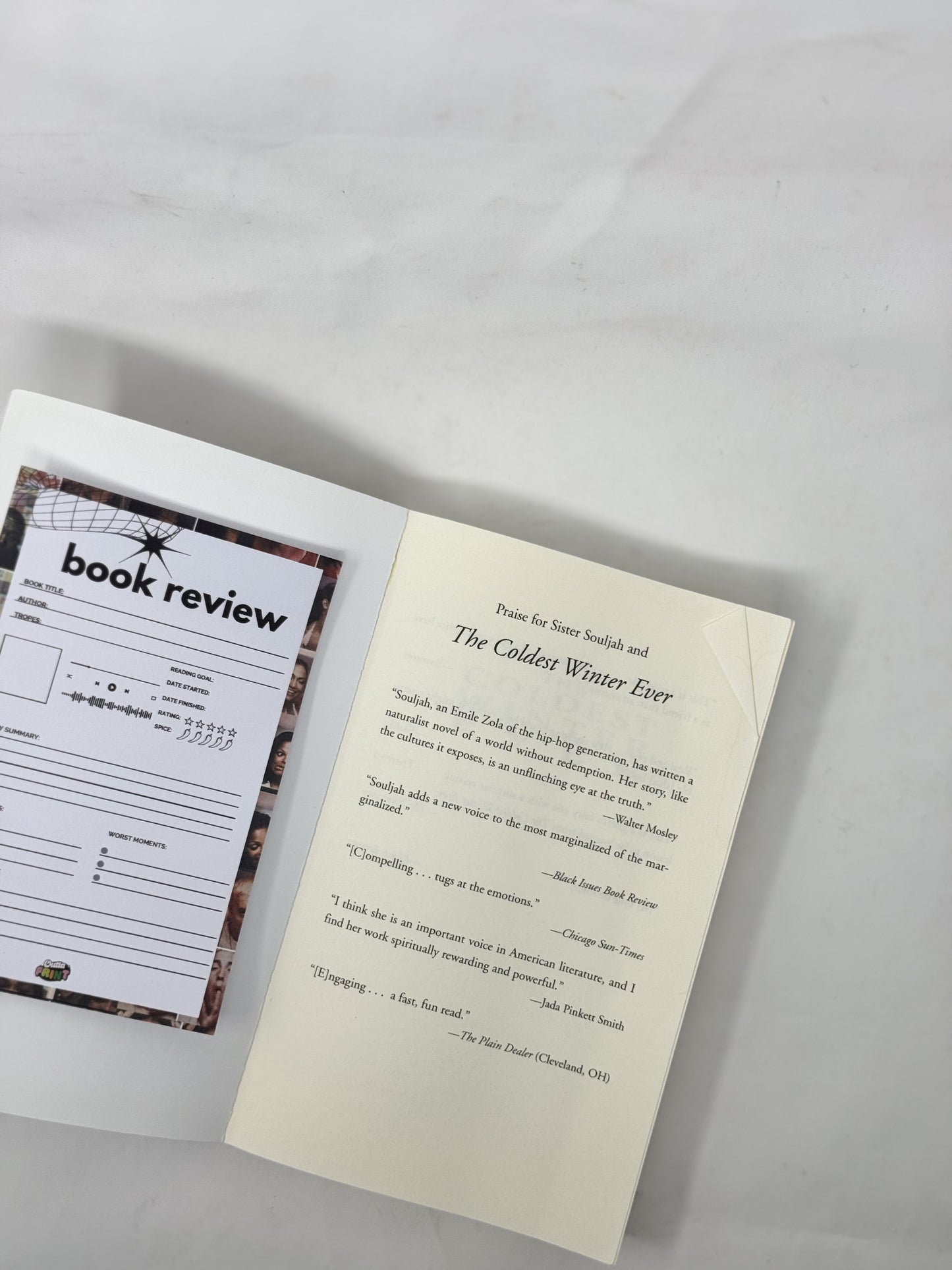 Book Review Sheets